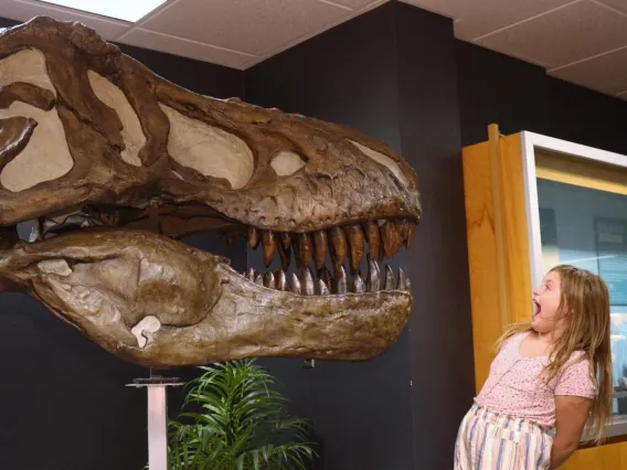 Flandrau Child Sees T-rex