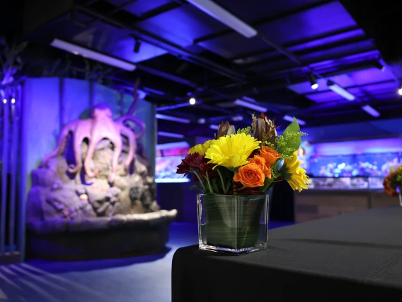 Flowers at a private event in an aquarium