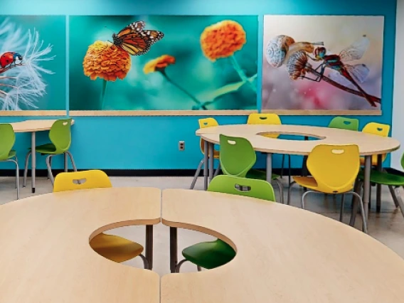 Classroom with bug art on walls and circular tables