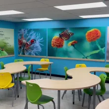 A insect themed birthday party room